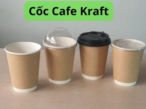 ly giấy kraft 2 lớp tại TPHCM